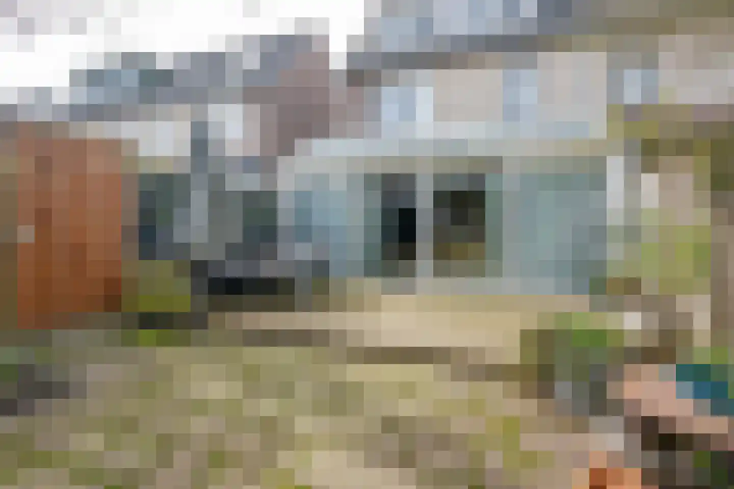 Berkendaal 20 Rotterdam thumbnail 19