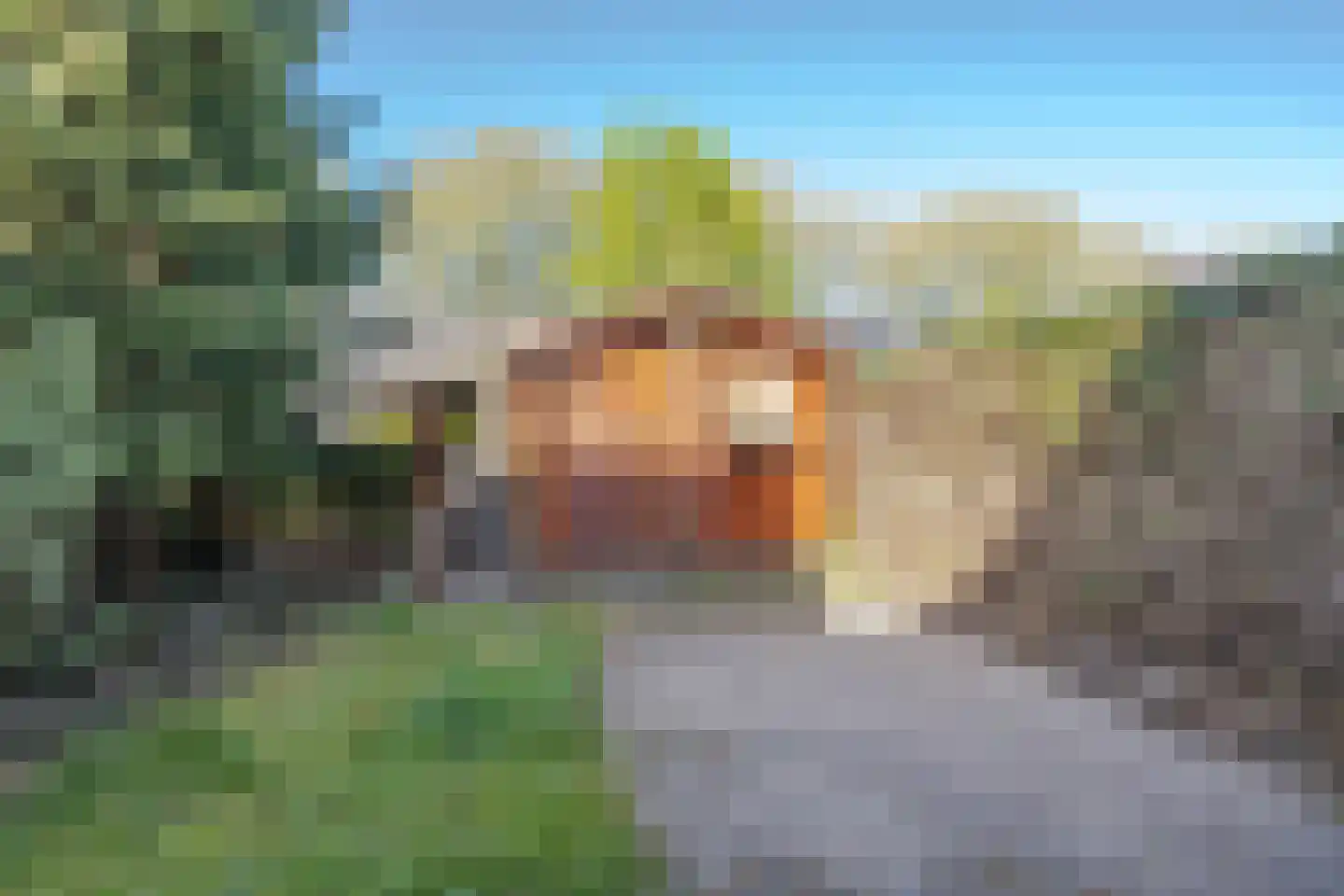 Berkendaal 31 Rotterdam thumbnail 15