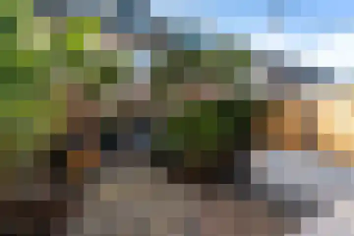 Berkendaal 42 Rotterdam thumbnail 4
