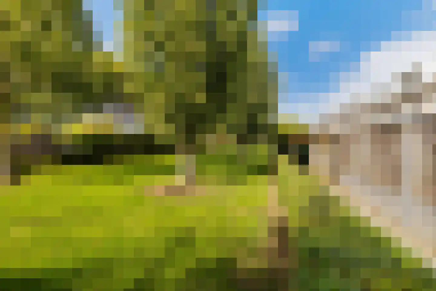 Berkendaal 45 Rotterdam thumbnail 48