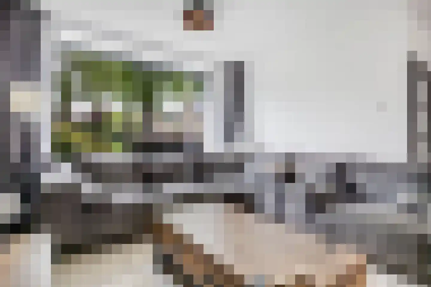 Berkendal 38 Maassluis thumbnail 7