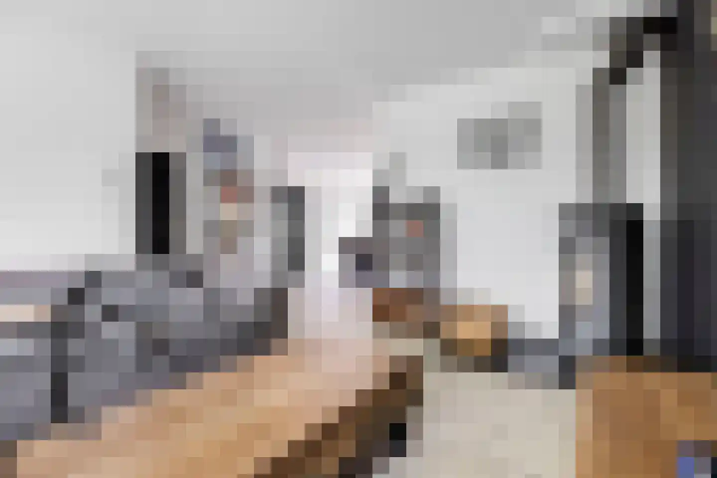 Berkendal 38 Maassluis thumbnail 8