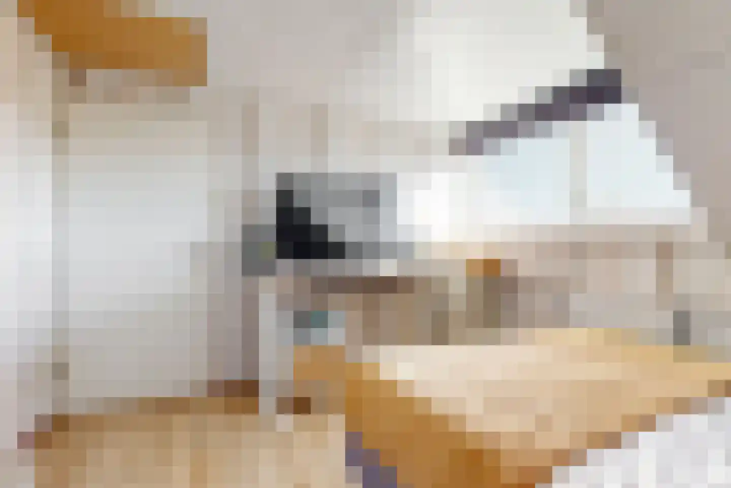 Berkendal 42 Maassluis thumbnail 32