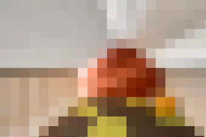 Berkendonklaan 42 's-Hertogenbosch thumbnail 41