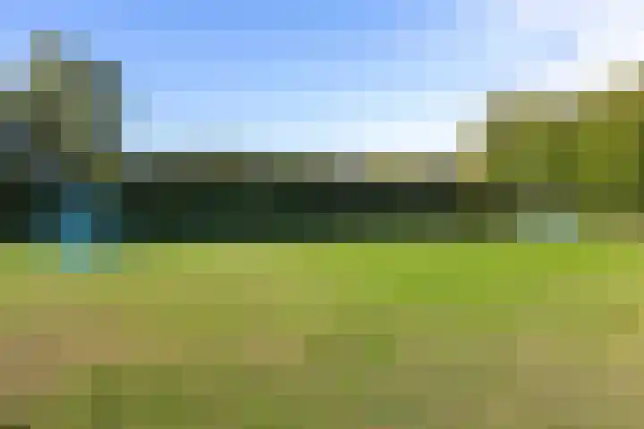 Berkendonklaan 42 's-Hertogenbosch thumbnail 47