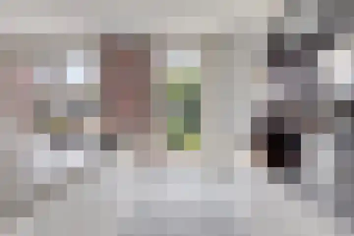 Berkendonklaan 42 's-Hertogenbosch thumbnail 6