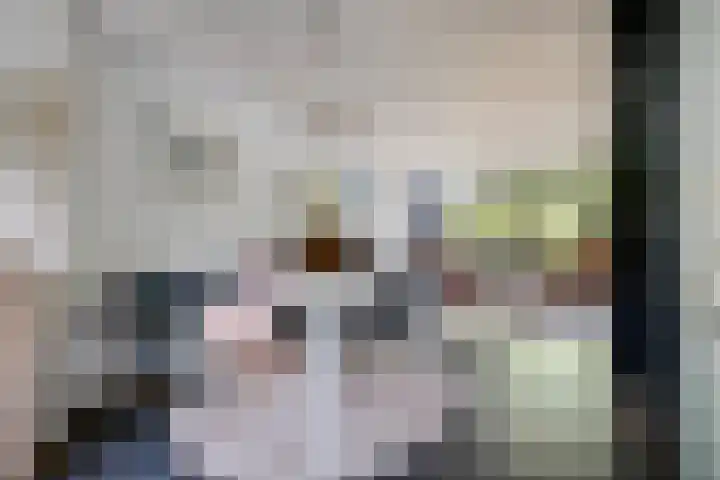 Berkendreef 127 Vlaardingen thumbnail 10