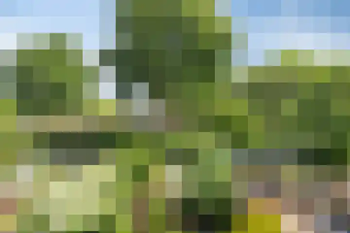 Berkendreef 127 Vlaardingen thumbnail 32