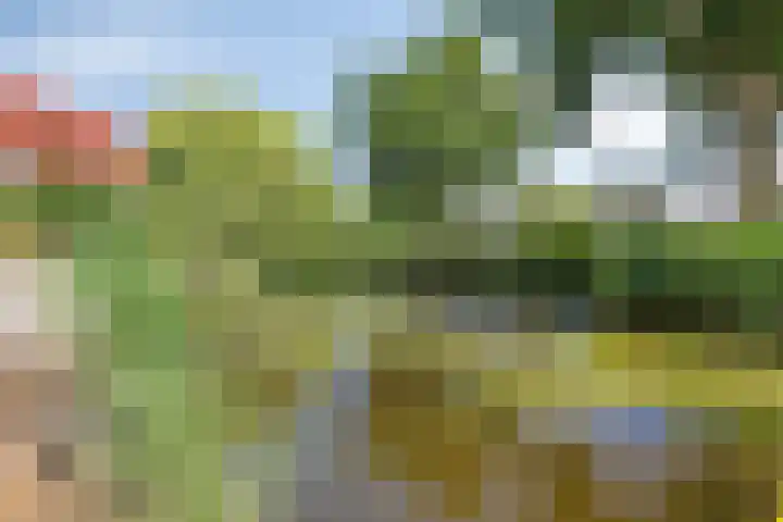 Berkendreef 127 Vlaardingen thumbnail 33