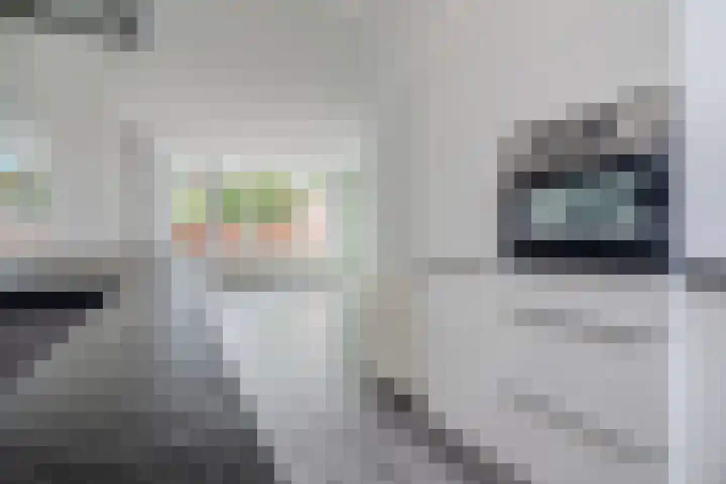 Berkendreef 20 Bleiswijk thumbnail 13