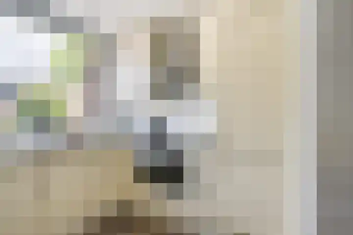 Berkendreef 25 Vlaardingen thumbnail 18