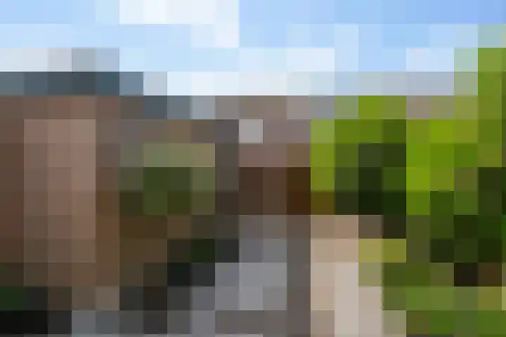 Berkendreef 25 Vlaardingen thumbnail 22