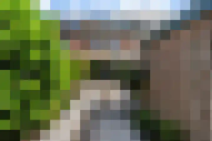 Berkendreef 25 Vlaardingen thumbnail 23