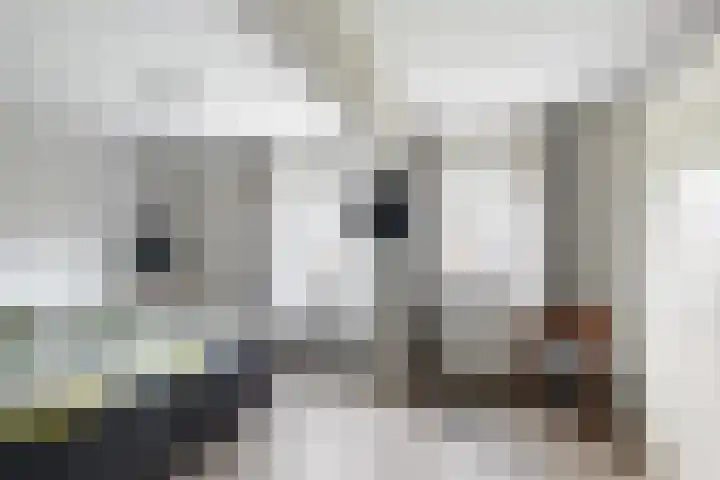 Berkendreef 25 Vlaardingen thumbnail 26