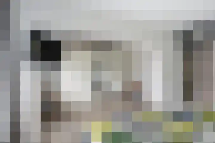 Berkendreef 25 Vlaardingen thumbnail 28