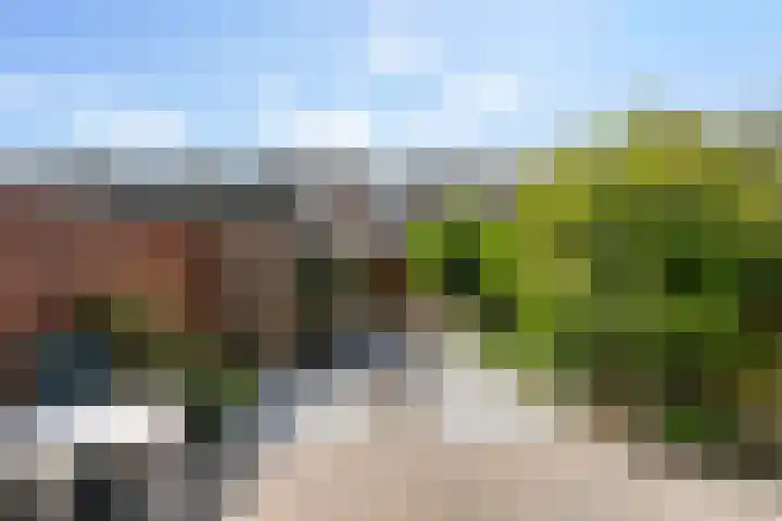 Berkendreef 25 Vlaardingen thumbnail 5