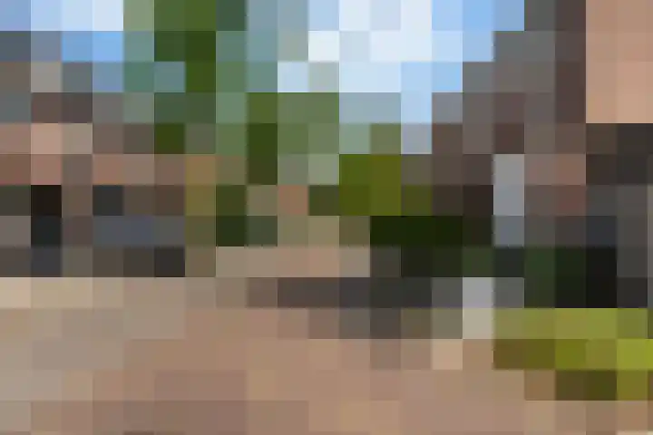 Berkendreef 25 Vlaardingen thumbnail 6