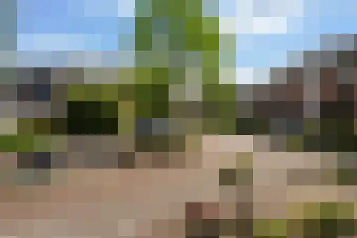 Berkendreef 25 Vlaardingen thumbnail 7
