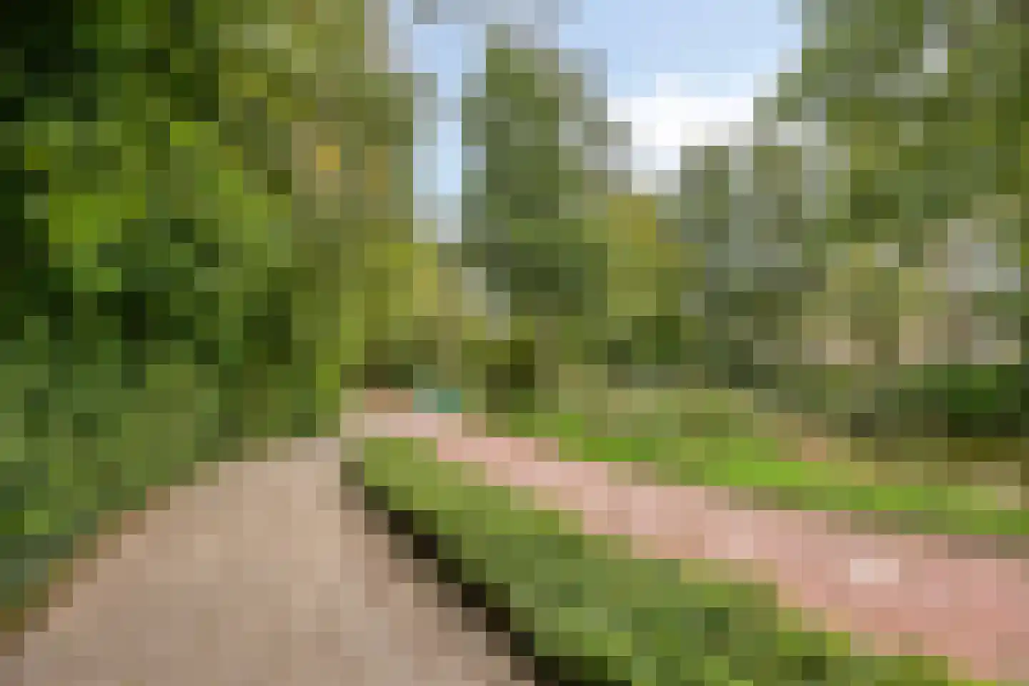 Berkendreef 26 Vlaardingen thumbnail 34