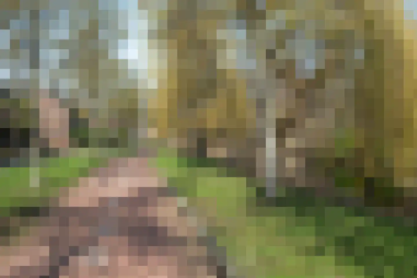 Berkendreef 27 Vlaardingen thumbnail 33