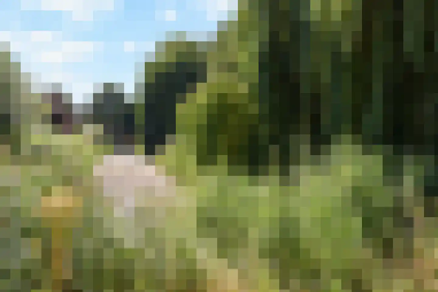 Berkendreef 3 Vlaardingen thumbnail 32