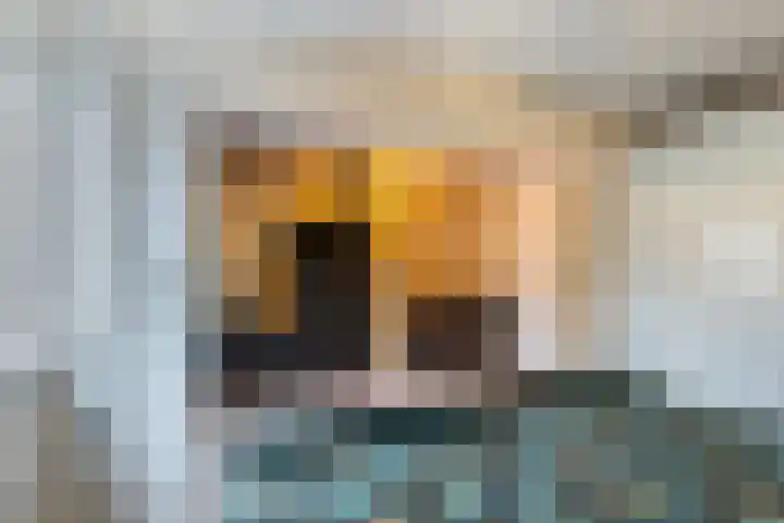 Berkendreef 8 Vlaardingen thumbnail 25