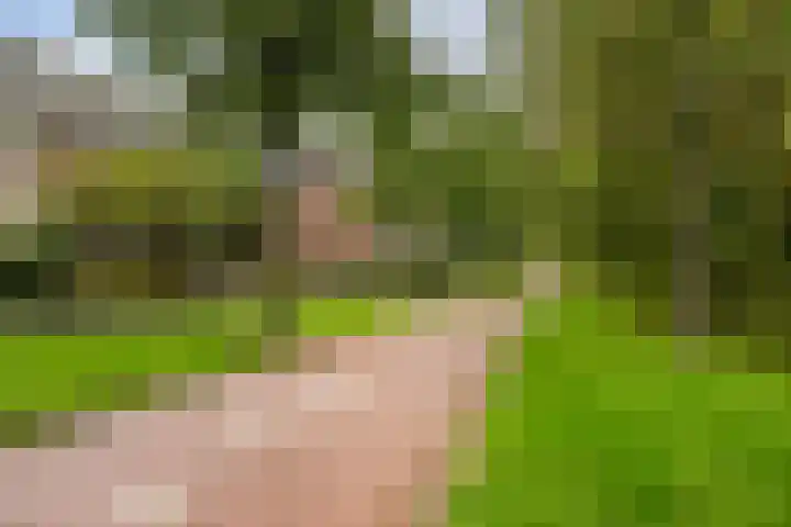 Berkendreef 8 Vlaardingen thumbnail 41