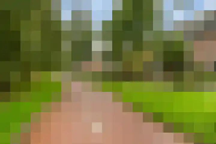 Berkendreef 8 Vlaardingen thumbnail 42