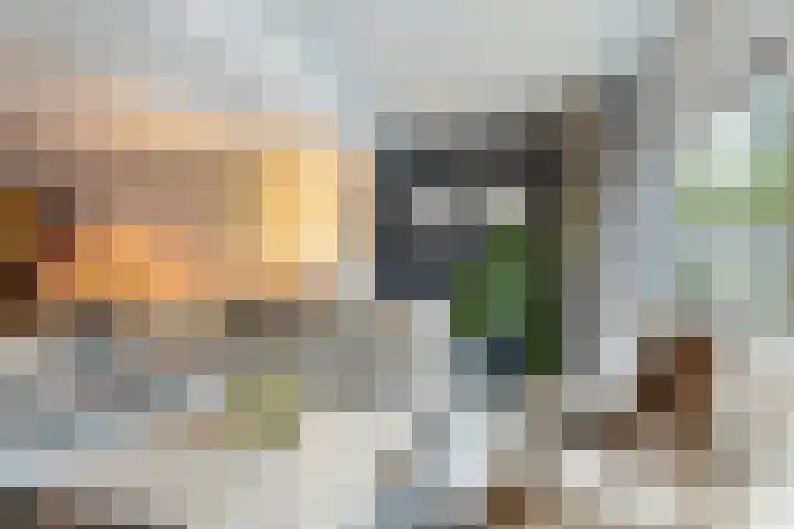 Berkendreef 8 Vlaardingen thumbnail 9