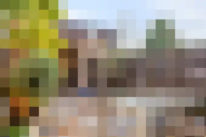 Berkendreef 9 Bleiswijk thumbnail 13