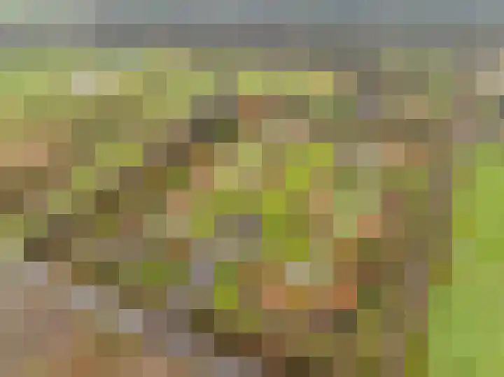Berkendreef 9 Bleiswijk thumbnail 20