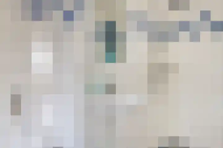 Berkendreef 9 Bleiswijk thumbnail 25