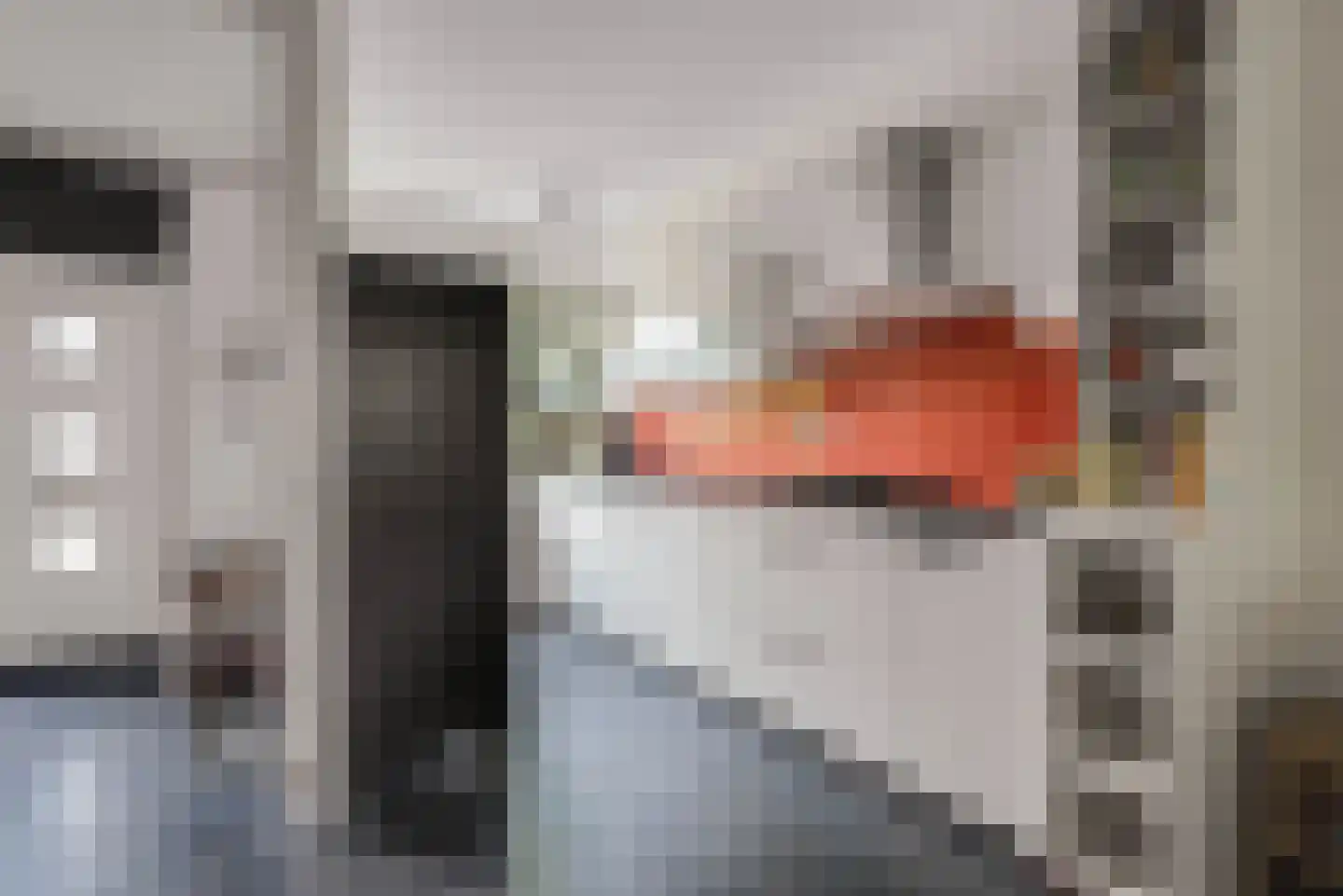 Berkendreef 91 Vlaardingen thumbnail 4