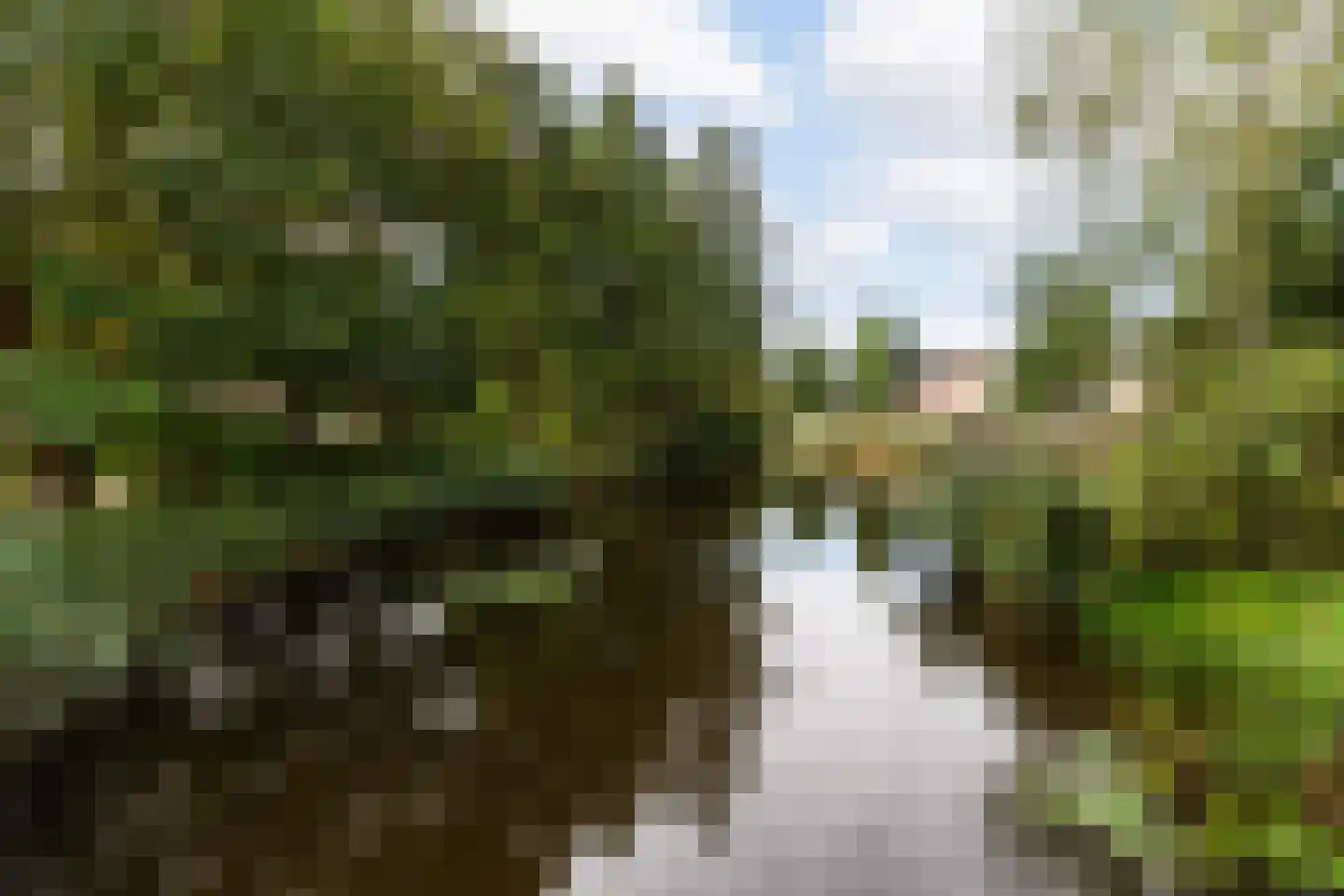 Berkendreef 95 Vlaardingen thumbnail 44
