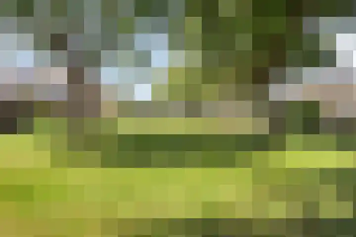 Berkengaard 60 Boxtel thumbnail 39