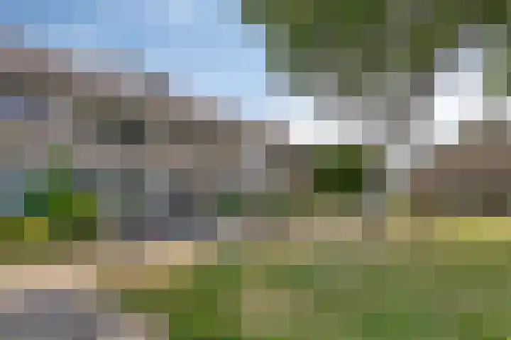 Berkengaard 60 Boxtel thumbnail 7
