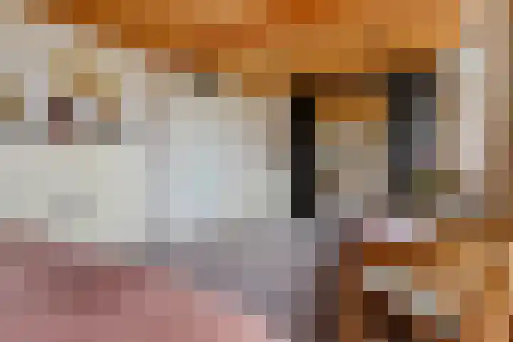 Berkengaarde 48 Waddinxveen thumbnail 17
