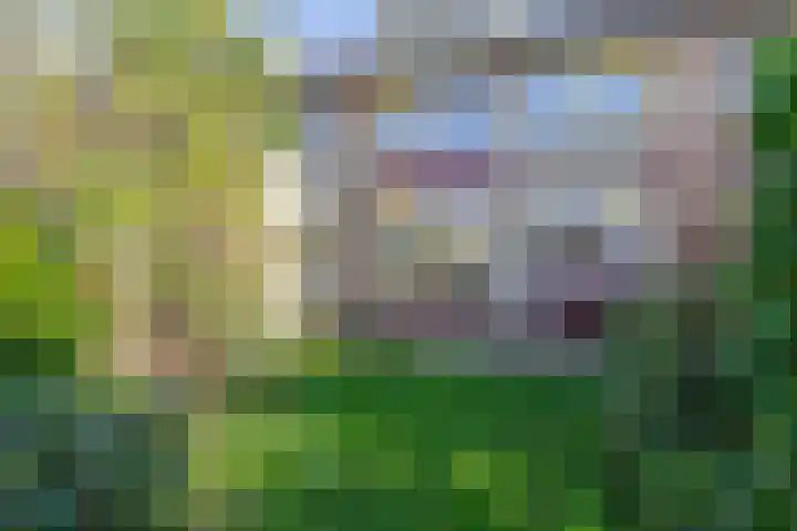 Berkengaarde 54 Waddinxveen thumbnail 15