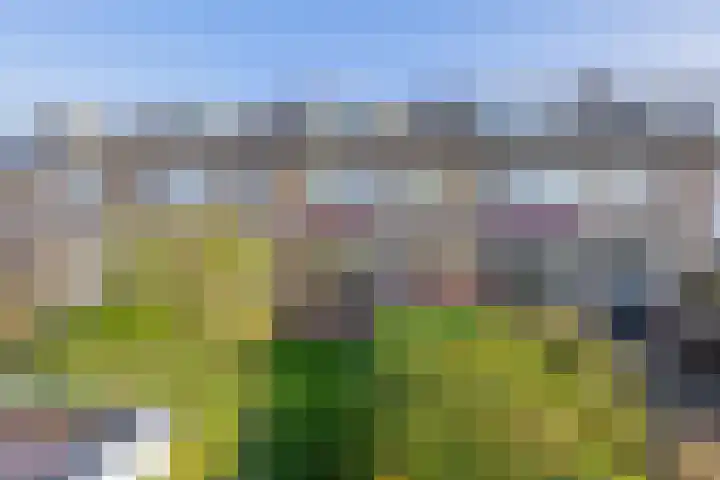 Berkengaarde 54 Waddinxveen thumbnail 6