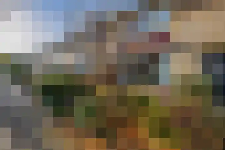 Berkengaarde 54 Waddinxveen thumbnail 7