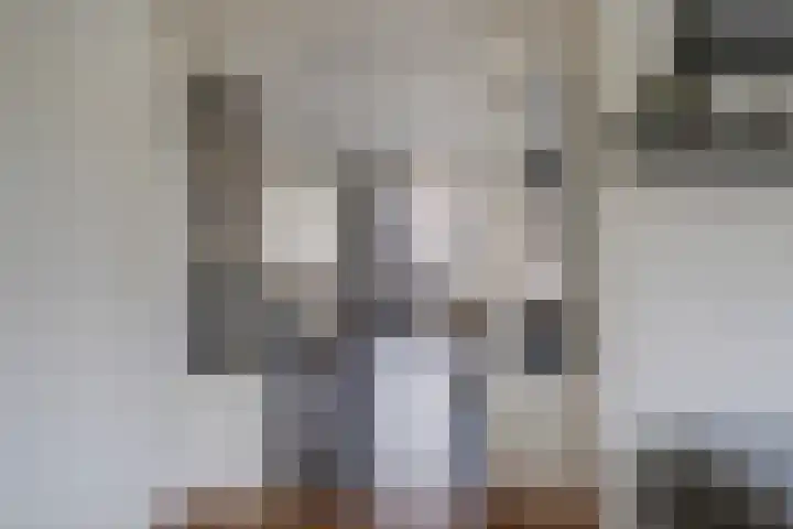 Berkengraaf 35 Bakel thumbnail 13