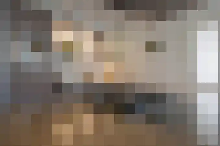Berkengraaf 35 Bakel thumbnail 17