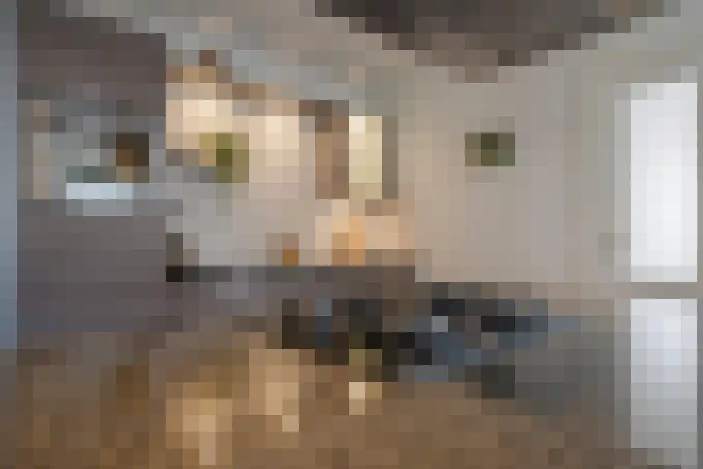 Berkengraaf 35 Bakel thumbnail 17