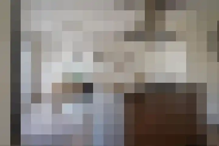 Berkengraaf 35 Bakel thumbnail 19