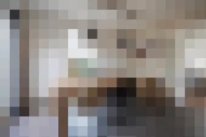 Berkengraaf 35 Bakel thumbnail 20