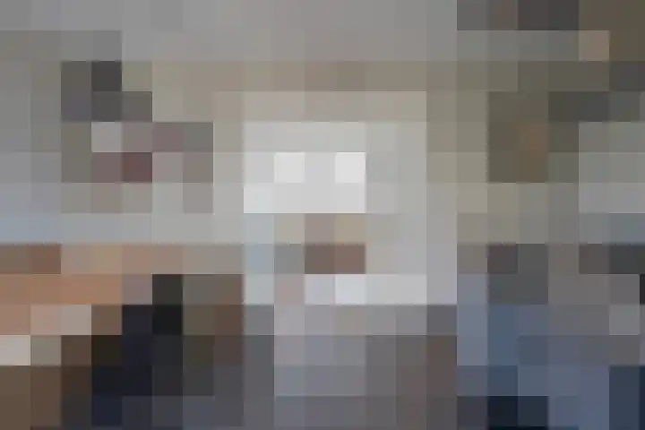 Berkengraaf 35 Bakel thumbnail 21