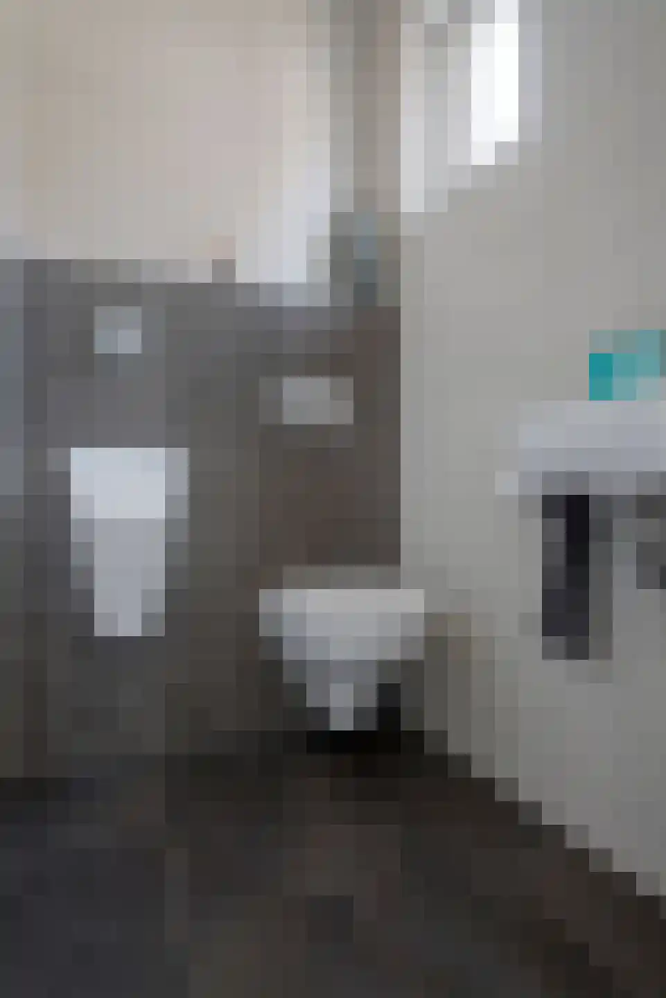 Berkengraaf 35 Bakel thumbnail 24