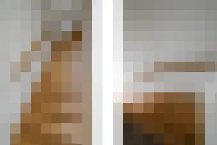 Berkengraaf 35 Bakel thumbnail 25