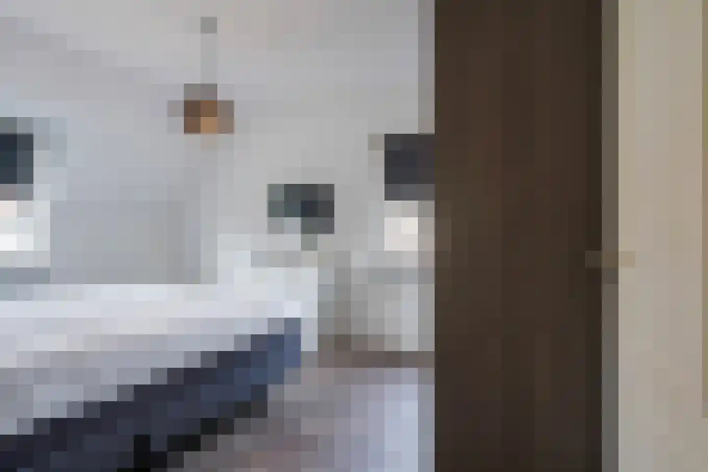 Berkengraaf 35 Bakel thumbnail 28