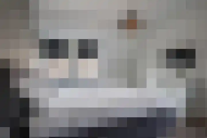 Berkengraaf 35 Bakel thumbnail 29
